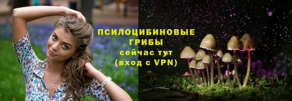 гидропоника Верхнеуральск