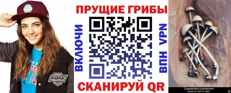 что такое наркотик  Кириши  Галлюциногенные грибы ЛСД 